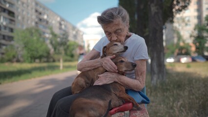 Happy senior woman holds a small dachshund dog in her arms, smiles hugs, presses and shows love to her pet on a bench in the park. Female 90 years old spends time with her best friend pet on street.