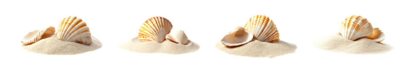 set of Sea shell sand pile isolated on white, side view PNG
