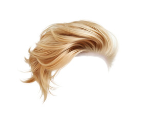  Blond human male hair wig isolated on a png transparent background.
