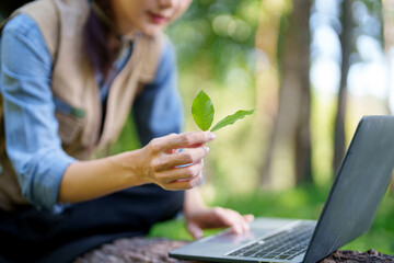 Field botanist researches plant specimens examines green leaves uses laptop for ecological data collection in natural environment scientific study