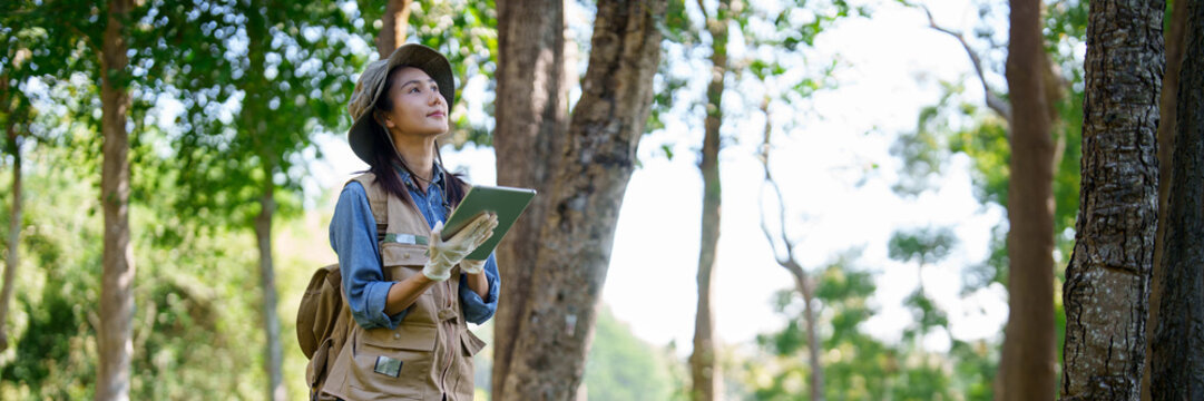Asian adult botanist researcher observes forest trees using tablet for nature ecology research outdoor