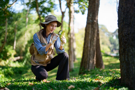 Asian adult botanist researches plants magnifying leaf in green lush forest investigating natural science biodiversity flora