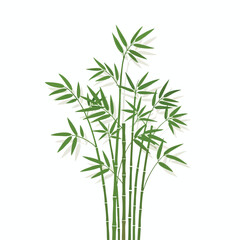 Fototapeta premium Vector illustration of a bamboo plant with green leaves and stems, white background