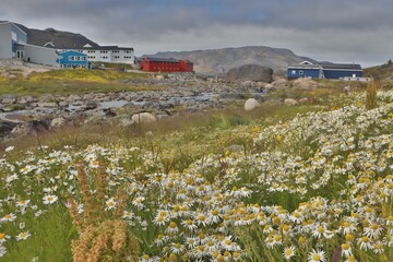 qaqortoq, greenland © Paul James Bannerman