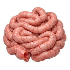 Intestine anatomy human digestive organ medical biology visceral tissue internal clinical model show intricate texture. Vivid science wonder inspire medical education insight