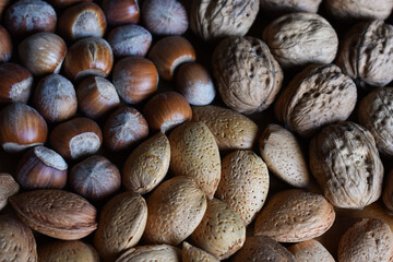 Obraz premium A close-up view of walnuts, hazelnuts and almonds in their shells. Healthy organic snack. Walnuts, hazelnuts and almonds on wood background. Healthy food and healthy nutrition concept.