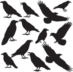 Fototapeta premium black silhouettes of various crows in different positions