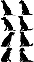Eight silhouette dogs in various sitting poses against a bright white background