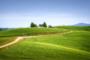 Obraz premium Via Francigena Trail in Siena Rolling Hills, Tuscany, Italy
