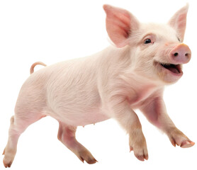 A charming, realistically rendered pink piglet with a smooth, slightly wrinkled skin texture and endearing, wide-eyed expression, appears to be playfully, isolated on transparent background.