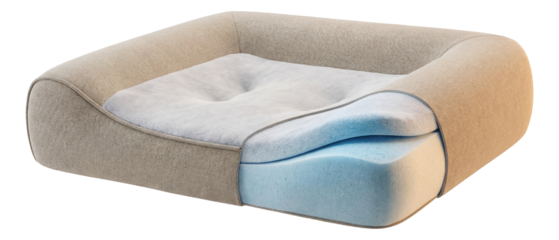 Orthopedic cat bed with gel-infused foam for cool comfort in a sunny space.