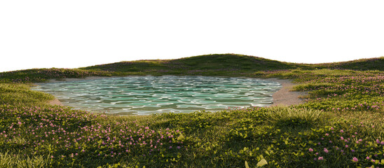 Calm Lake Shore With Green Meadow and Wildflowers Isolated on Transparent  Background. 3D rendering.