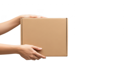 Hand holding brown cardboard box