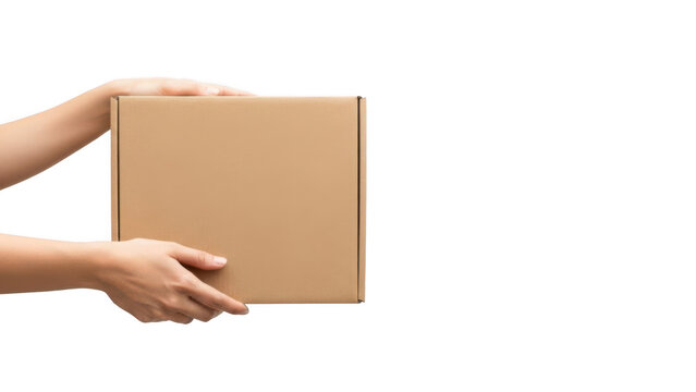 Hand holding brown cardboard box