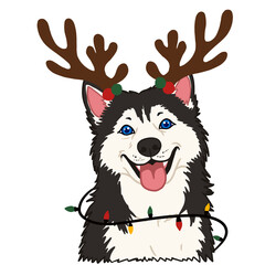 Christmas Siberian Husky Dog with Reindeer Antlers and Holiday Lights on Transparent Background