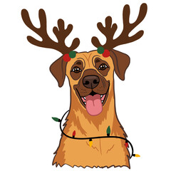Christmas Great Dane Dog with Reindeer Antlers and Holiday Lights on Transparent Background