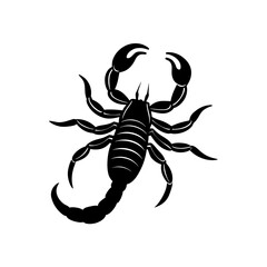 scorpion isolated on white background