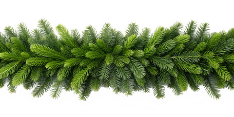 Green pine branches forming a festive garland isolated on transparent background