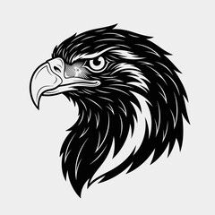 Fototapeta premium Black and White Eagle Head Illustration.