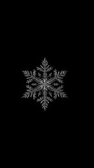 Intricate macro photograph of a perfectly formed, crystalline snowflake against a stark black background