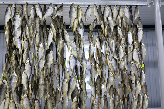 Dried fish hang on string for sale - Powered by Adobe