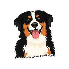 Happy Bernese Mountain Dog Cartoon Face with Tongue Out on Transparent Background
