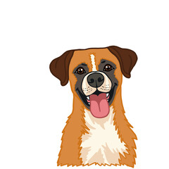 Cute Boxer Dog Head Illustration with Tongue Out on Transparent Background