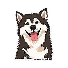 Cute Alaskan Malamute Dog Head with Tongue Out and Fluffy Fur, Transparent Background