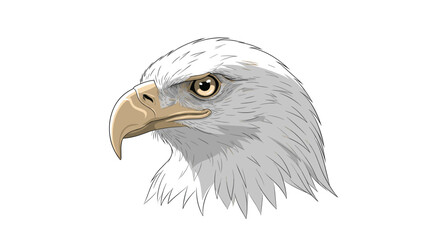 Majestic bald eagle head is shown in a detailed vector illustration capturing the fierce expression and iconic white feathers.