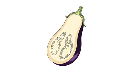 Cross section of a purple eggplant showing its white interior flesh and seeds in a detailed hand-drawn style isolated on a white background.
