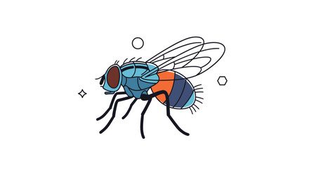 Detailed illustration of a common house fly with blue and orange markings and translucent wings standing against a clean white background.