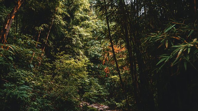Lush, dense forest scene; bamboo shoots and foliage fill the frame with rich greens and shadows - Powered by Adobe