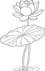 Elegant line art illustration of blooming water lilies and buds