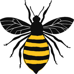 Vector art of an artistic illustration of a bee with spread wings, isolated on white background