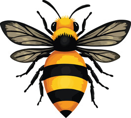 Vector art of an illustration of a bee with its wings outstretched, isolated on white background