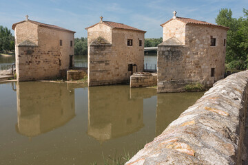 Ace&ntilde;as de Olivares, Zamora