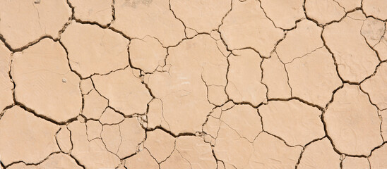 Grietas de desecaci&oacute;n en barro