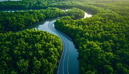 Aerial View of Winding River Through Lush Green Forest at Sunset.