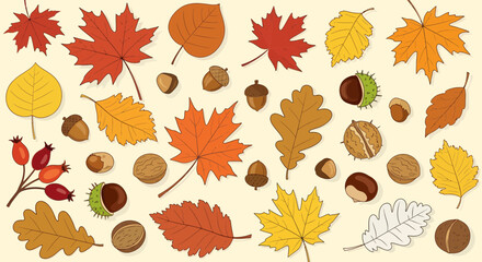 Fototapeta premium Autumn Leaves and Nuts Scattered on Beige Background