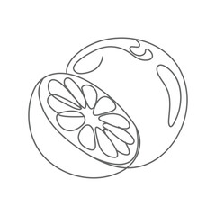 Black and white line drawing of a fresh citrus fruit slice vector illustration outline for food concepts.