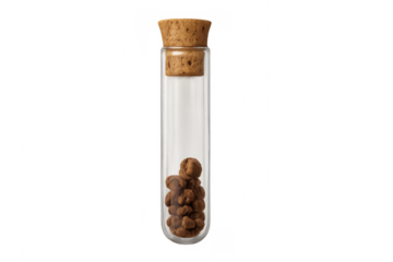 Test tube containing experiment material with cork on transparent background