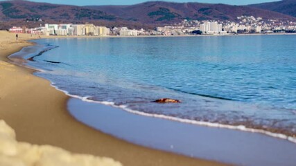 A wide landscape view of a sandy beach with gentle blue waves, looking out towards a coastal city skyline and rolling hills in the distance.
