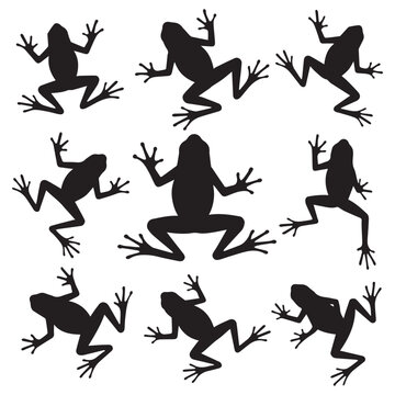 Frog Silhouettes Collection Jumping in Circle