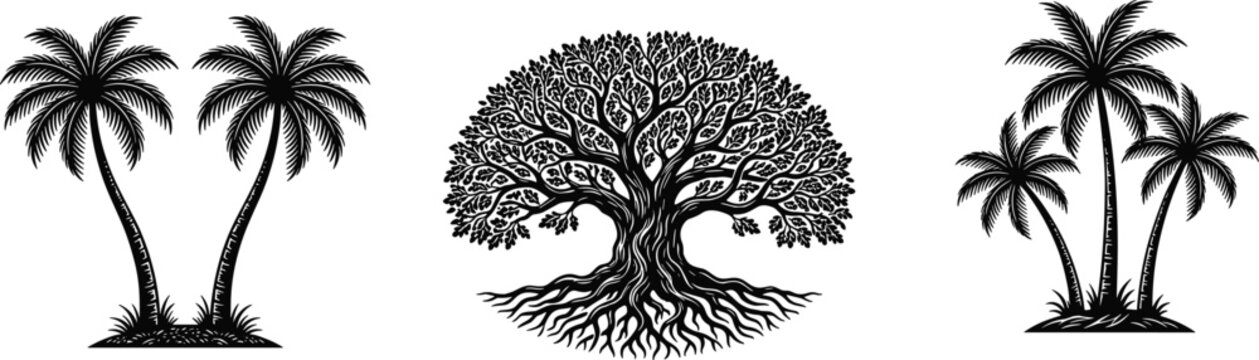 Black tree silhouettes, tropical palm trees, banyan tree, nature illustration, vector style, isolated on white background, botanical design