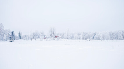 Fototapeta premium Farm bran and house in a cold winter landscape with snow and frost in christmas time