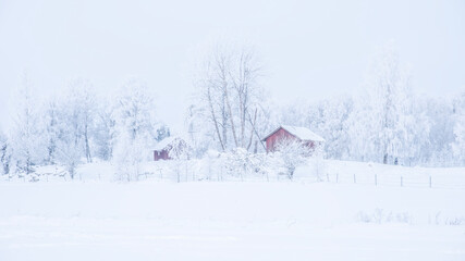 Farm bran  and house in a cold winter landscape with snow and frost in christmas time