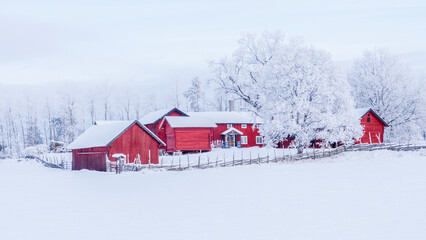 Farm bran  and house in a cold winter landscape with snow and frost in christmas time