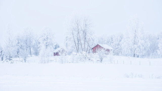 Farm bran  and house in a cold winter landscape with snow and frost in christmas time