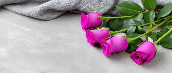 Beautiful pink roses arranged in a flat lay style on a light background with space for text and design elements