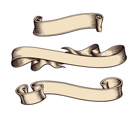 Collection of three elegant vintage engraved blank scroll banners and ribbons for text isolated on white background, Vector